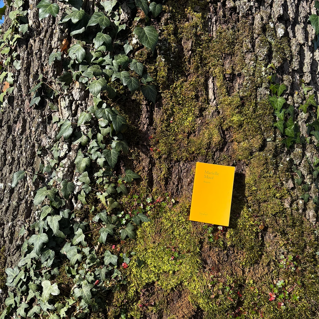 Workshop Arbre — Marielle Debellu, Dordogne 2026
