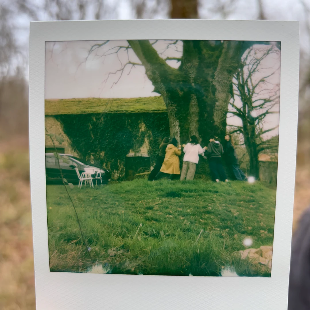 Workshop Arbre — Marielle Debellu, Dordogne 2026