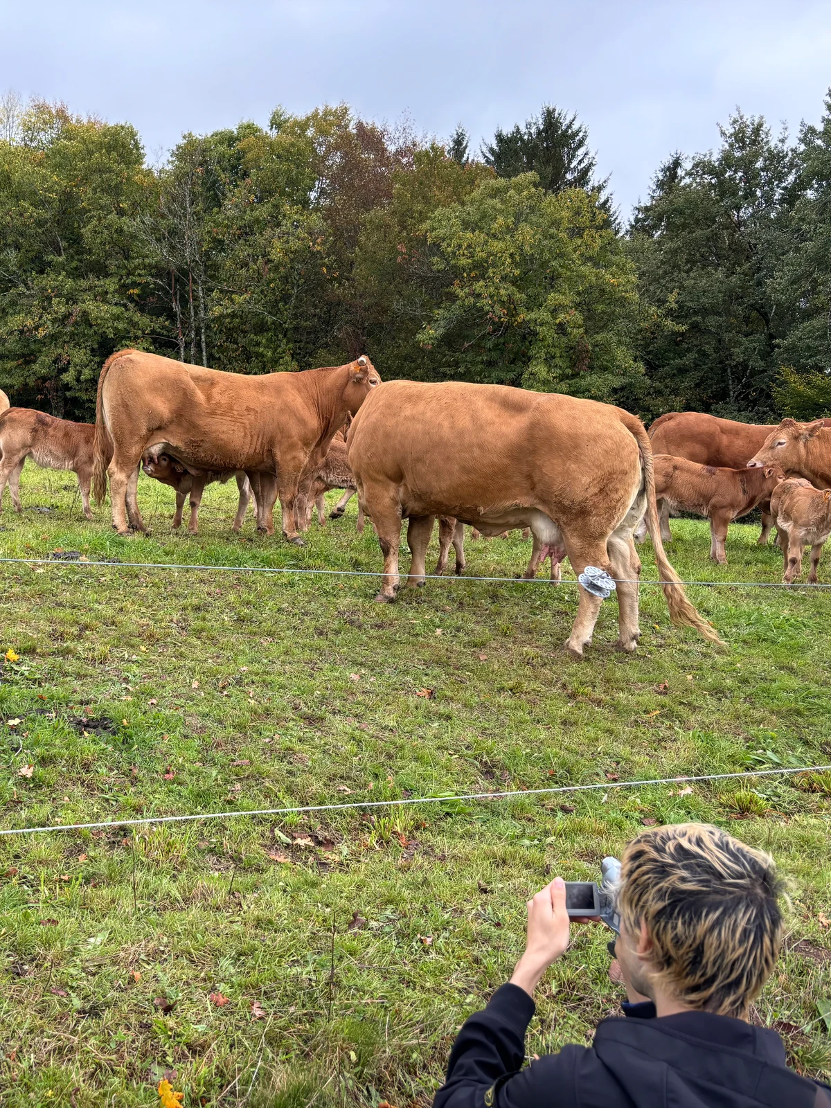 Workshop Mes écoutes — Marielle Debellu, Corrèze 2025